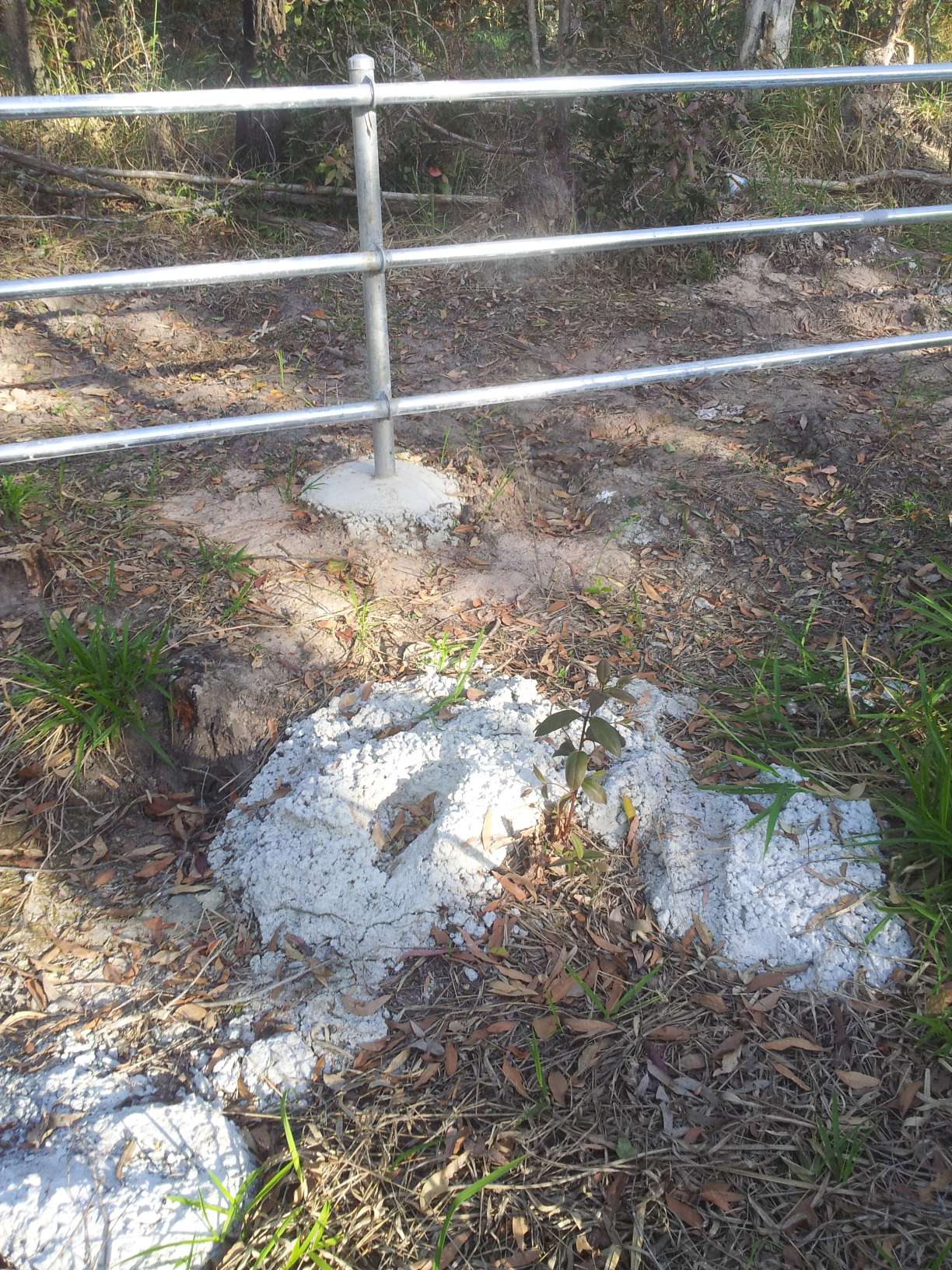 concrete_from_fence.jpg concrete_from_fence.jpg